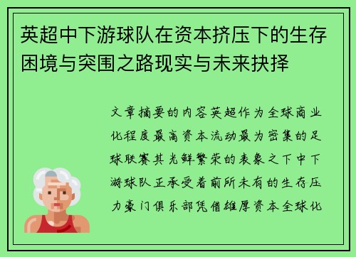 英超中下游球队在资本挤压下的生存困境与突围之路现实与未来抉择